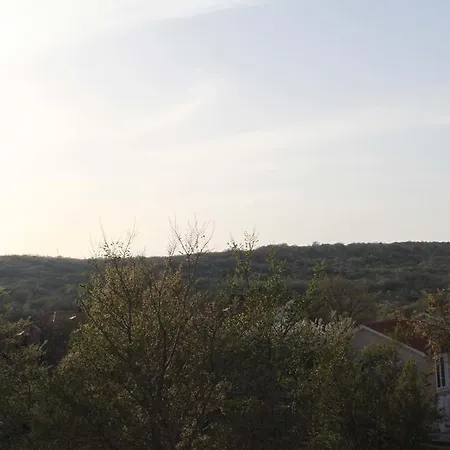 アパート Bellator *